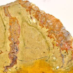 6.40oz Oregon Thunderegg Half Cut Face Old Stock Vintage Collection Natural Raw